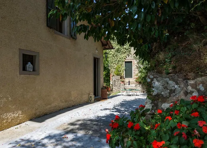 Brancoli * קאפאנורי